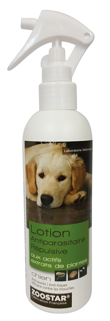 spray anti puce chien