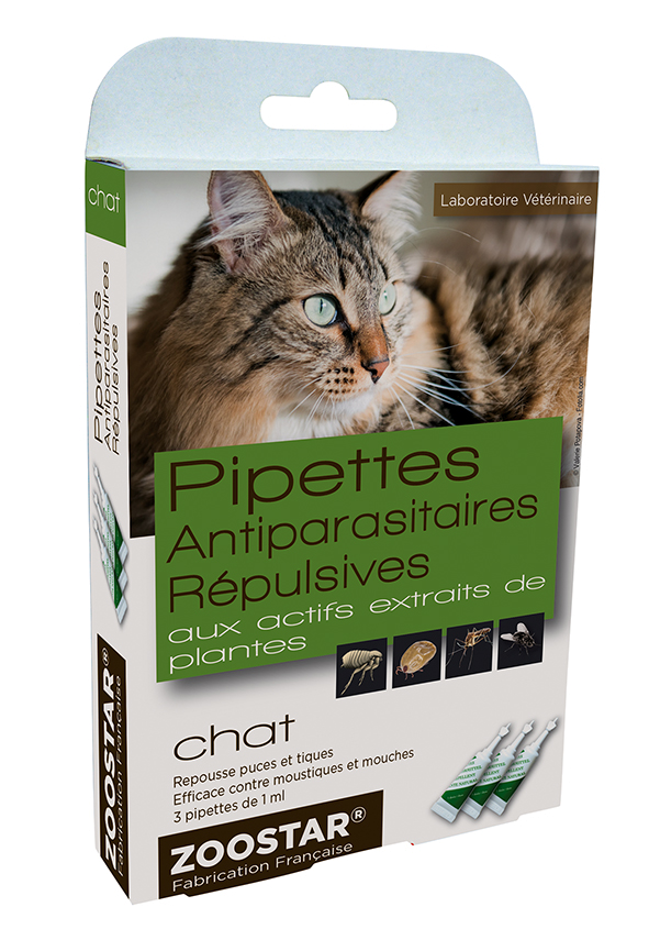 pipettes antiparasitaire chat