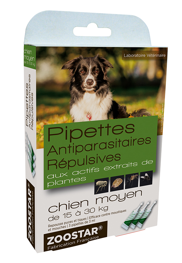 pipette anti puce chien moyen