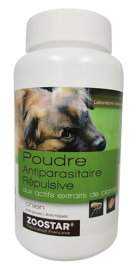 poudre anti puce chien