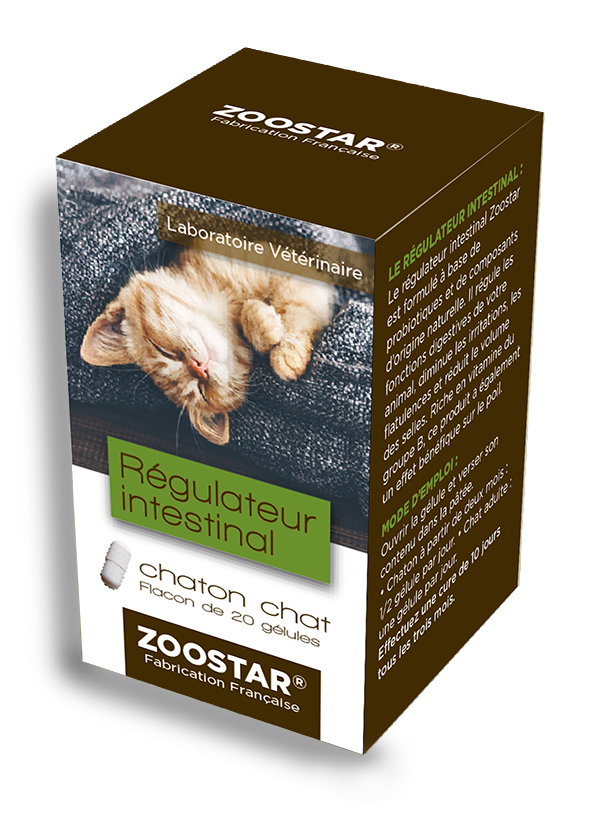 regulateur intestinal chat