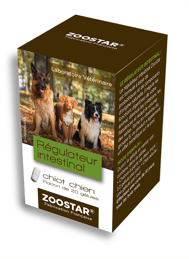 regulateur intestinal chien