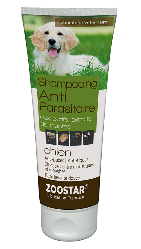 shampoing anti puce chien