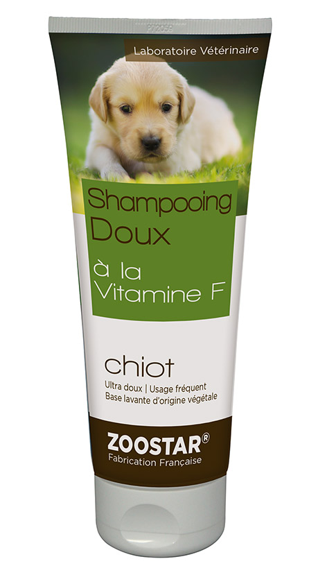 shampooing chiot